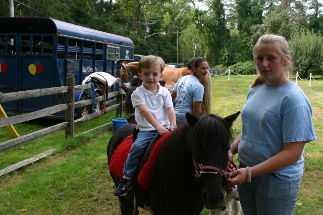 Click for original image 344k 1229x819